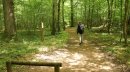 Bois de Saulxures, parcours sportif